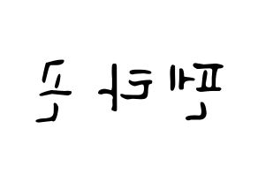 KPOP PENTAGON(펜타곤、ペンタゴン) 応援ボード ハングル 型紙  左右反転