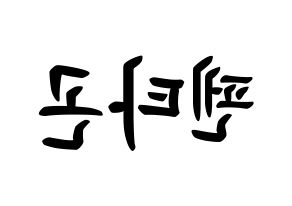 KPOP PENTAGON(펜타곤、ペンタゴン) k-pop ボード ハングル表記 言葉 左右反転