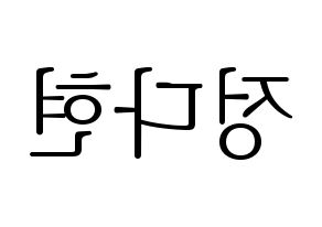 KPOP RCPC(로켓펀치、ロケットパンチ) 다현 (ダヒョン) 応援ボード・うちわ　韓国語/ハングル文字型紙 左右反転