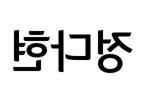 KPOP RCPC(로켓펀치、ロケットパンチ) 다현 (ダヒョン) k-pop アイドル名前 ファンサボード 型紙 左右反転