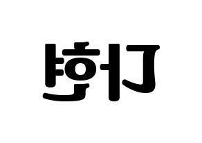 KPOP RCPC(로켓펀치、ロケットパンチ) 다현 (ダヒョン) コンサート用　応援ボード・うちわ　韓国語/ハングル文字型紙 左右反転