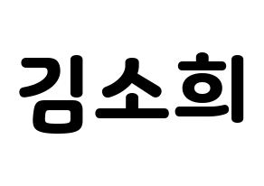 KPOP RCPC(로켓펀치、ロケットパンチ) 소희 (ソヒ) 応援ボード・うちわ　韓国語/ハングル文字型紙 通常