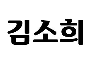 KPOP RCPC(로켓펀치、ロケットパンチ) 소희 (ソヒ) コンサート用　応援ボード・うちわ　韓国語/ハングル文字型紙 通常