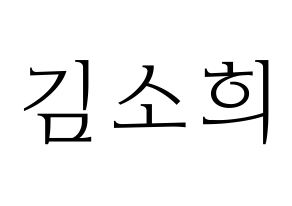 KPOP RCPC(로켓펀치、ロケットパンチ) 소희 (ソヒ) 応援ボード・うちわ　韓国語/ハングル文字型紙 通常