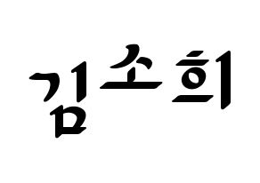 KPOP RCPC(로켓펀치、ロケットパンチ) 소희 (ソヒ) 応援ボード ハングル 型紙  通常