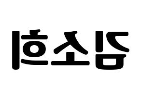 KPOP RCPC(로켓펀치、ロケットパンチ) 소희 (ソヒ) コンサート用　応援ボード・うちわ　韓国語/ハングル文字型紙 左右反転