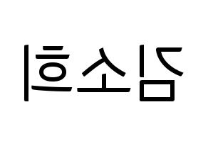 KPOP RCPC(로켓펀치、ロケットパンチ) 소희 (ソヒ) コンサート用　応援ボード・うちわ　韓国語/ハングル文字型紙 左右反転