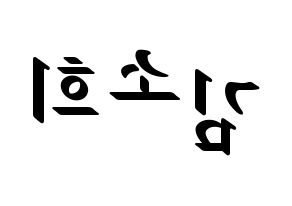 KPOP RCPC(로켓펀치、ロケットパンチ) 소희 (ソヒ) 応援ボード ハングル 型紙  左右反転