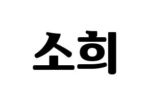 KPOP RCPC(로켓펀치、ロケットパンチ) 소희 (ソヒ) コンサート用　応援ボード・うちわ　韓国語/ハングル文字型紙 通常