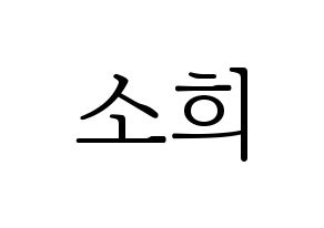 KPOP RCPC(로켓펀치、ロケットパンチ) 소희 (ソヒ) 応援ボード・うちわ　韓国語/ハングル文字型紙 通常