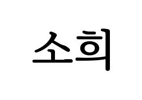 KPOP RCPC(로켓펀치、ロケットパンチ) 소희 (ソヒ) プリント用応援ボード型紙、うちわ型紙　韓国語/ハングル文字型紙 通常