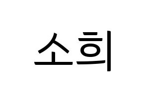 KPOP RCPC(로켓펀치、ロケットパンチ) 소희 (ソヒ) コンサート用　応援ボード・うちわ　韓国語/ハングル文字型紙 通常