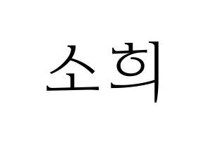 KPOP RCPC(로켓펀치、ロケットパンチ) 소희 (ソヒ) 応援ボード・うちわ　韓国語/ハングル文字型紙 通常