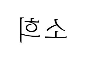 KPOP RCPC(로켓펀치、ロケットパンチ) 소희 (ソヒ) 応援ボード・うちわ　韓国語/ハングル文字型紙 左右反転