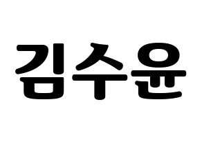 KPOP RCPC(로켓펀치、ロケットパンチ) 수윤 (スユン) コンサート用　応援ボード・うちわ　韓国語/ハングル文字型紙 通常