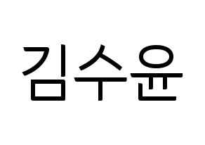 KPOP RCPC(로켓펀치、ロケットパンチ) 수윤 (スユン) コンサート用　応援ボード・うちわ　韓国語/ハングル文字型紙 通常