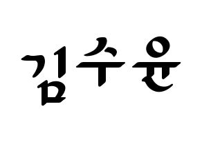 KPOP RCPC(로켓펀치、ロケットパンチ) 수윤 (スユン) 応援ボード ハングル 型紙  通常