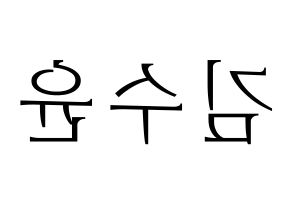 KPOP RCPC(로켓펀치、ロケットパンチ) 수윤 (スユン) 応援ボード・うちわ　韓国語/ハングル文字型紙 左右反転