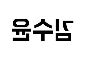 KPOP RCPC(로켓펀치、ロケットパンチ) 수윤 (スユン) k-pop アイドル名前 ファンサボード 型紙 左右反転