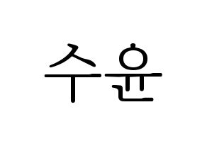 KPOP RCPC(로켓펀치、ロケットパンチ) 수윤 (スユン) 応援ボード・うちわ　韓国語/ハングル文字型紙 通常
