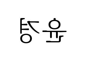 KPOP RCPC(로켓펀치、ロケットパンチ) 윤경 (ユンギョン) 応援ボード・うちわ　韓国語/ハングル文字型紙 左右反転