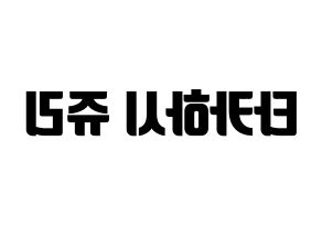 KPOP RCPC(로켓펀치、ロケットパンチ) 쥬리 (ジュリ) コンサート用　応援ボード・うちわ　韓国語/ハングル文字型紙 左右反転