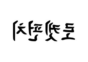 KPOP RCPC(로켓펀치、ロケットパンチ) k-pop ボード ハングル表記 言葉 左右反転