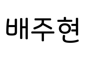 KPOP Red Velvet(레드벨벳、レッド・ベルベット) 아이린 (ペ・ジュヒョン, アイリーン) 無料サイン会用、イベント会用応援ボード型紙 通常