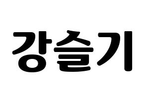 KPOP Red Velvet(레드벨벳、レッド・ベルベット) 슬기 (スルギ) コンサート用　応援ボード・うちわ　韓国語/ハングル文字型紙 通常