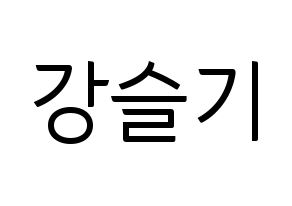 KPOP Red Velvet(레드벨벳、レッド・ベルベット) 슬기 (スルギ) コンサート用　応援ボード・うちわ　韓国語/ハングル文字型紙 通常