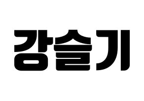 KPOP Red Velvet(레드벨벳、レッド・ベルベット) 슬기 (スルギ) コンサート用　応援ボード・うちわ　韓国語/ハングル文字型紙 通常