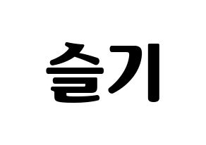 KPOP Red Velvet(레드벨벳、レッド・ベルベット) 슬기 (スルギ) コンサート用　応援ボード・うちわ　韓国語/ハングル文字型紙 通常