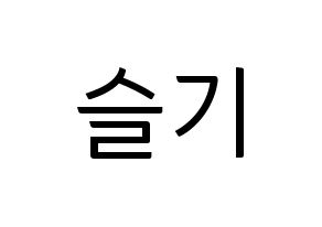 KPOP Red Velvet(레드벨벳、レッド・ベルベット) 슬기 (スルギ) コンサート用　応援ボード・うちわ　韓国語/ハングル文字型紙 通常