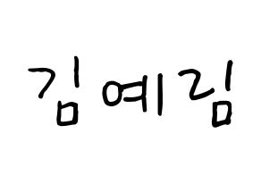KPOP Red Velvet(레드벨벳、レッド・ベルベット) 예리 (イェリ) k-pop 応援ボード メッセージ 型紙 通常