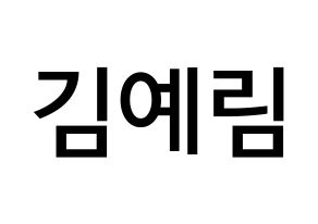 KPOP Red Velvet(레드벨벳、レッド・ベルベット) 예리 (キム・イェリム, イェリ) 無料サイン会用、イベント会用応援ボード型紙 通常
