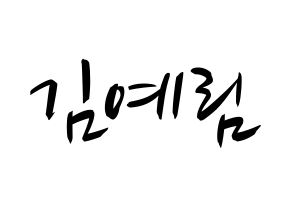 KPOP Red Velvet(레드벨벳、レッド・ベルベット) 예리 (イェリ) k-pop 応援ボード メッセージ 型紙 通常