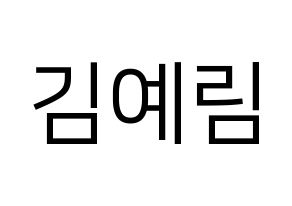 KPOP Red Velvet(레드벨벳、レッド・ベルベット) 예리 (イェリ) プリント用応援ボード型紙、うちわ型紙　韓国語/ハングル文字型紙 通常