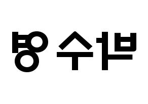 KPOP Red Velvet(레드벨벳、レッド・ベルベット) 조이 (パク・スヨン, ジョイ) 応援ボード、うちわ無料型紙、応援グッズ 左右反転