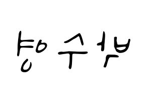 KPOP Red Velvet(레드벨벳、レッド・ベルベット) 조이 (ジョイ) 応援ボード ハングル 型紙  左右反転