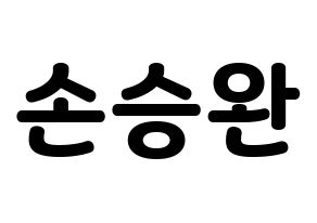 KPOP Red Velvet(레드벨벳、レッド・ベルベット) 웬디 (ウェンディ) 応援ボード・うちわ　韓国語/ハングル文字型紙 通常