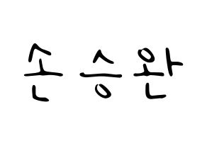 KPOP Red Velvet(레드벨벳、レッド・ベルベット) 웬디 (ウェンディ) 応援ボード ハングル 型紙  通常