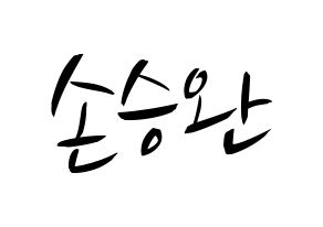 KPOP Red Velvet(레드벨벳、レッド・ベルベット) 웬디 (ウェンディ) k-pop 応援ボード メッセージ 型紙 通常