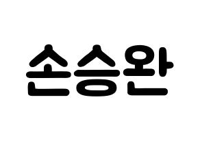 KPOP Red Velvet(레드벨벳、レッド・ベルベット) 웬디 (ソン・スンワン, ウェンディ) 応援ボード、うちわ無料型紙、応援グッズ 通常