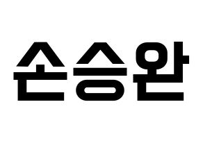 KPOP Red Velvet(레드벨벳、レッド・ベルベット) 웬디 (ウェンディ) 名前 応援ボード 作り方 通常
