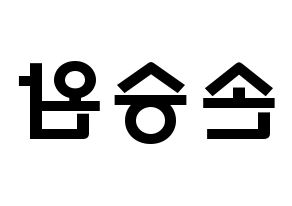 KPOP Red Velvet(레드벨벳、レッド・ベルベット) 웬디 (ソン・スンワン, ウェンディ) 応援ボード、うちわ無料型紙、応援グッズ 左右反転