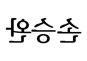 KPOP Red Velvet(레드벨벳、レッド・ベルベット) 웬디 (ウェンディ) プリント用応援ボード型紙、うちわ型紙　韓国語/ハングル文字型紙 左右反転