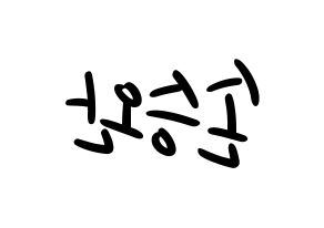 KPOP Red Velvet(레드벨벳、レッド・ベルベット) 웬디 (ウェンディ) 応援ボード ハングル 型紙  左右反転