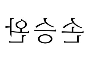 KPOP Red Velvet(레드벨벳、レッド・ベルベット) 웬디 (ウェンディ) 応援ボード・うちわ　韓国語/ハングル文字型紙 左右反転