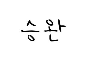 KPOP Red Velvet(레드벨벳、レッド・ベルベット) 웬디 (ウェンディ) 応援ボード ハングル 型紙  通常