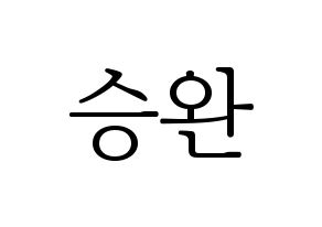 KPOP Red Velvet(레드벨벳、レッド・ベルベット) 웬디 (ウェンディ) 応援ボード・うちわ　韓国語/ハングル文字型紙 通常